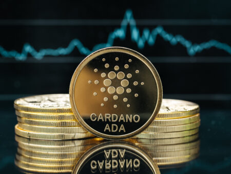 Cardano Whales on the Move Despite Declines